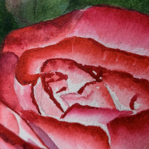 Stunning 17” x 14 1/2” signed original ROSE water color framed artwork - Picture 10 of 14
